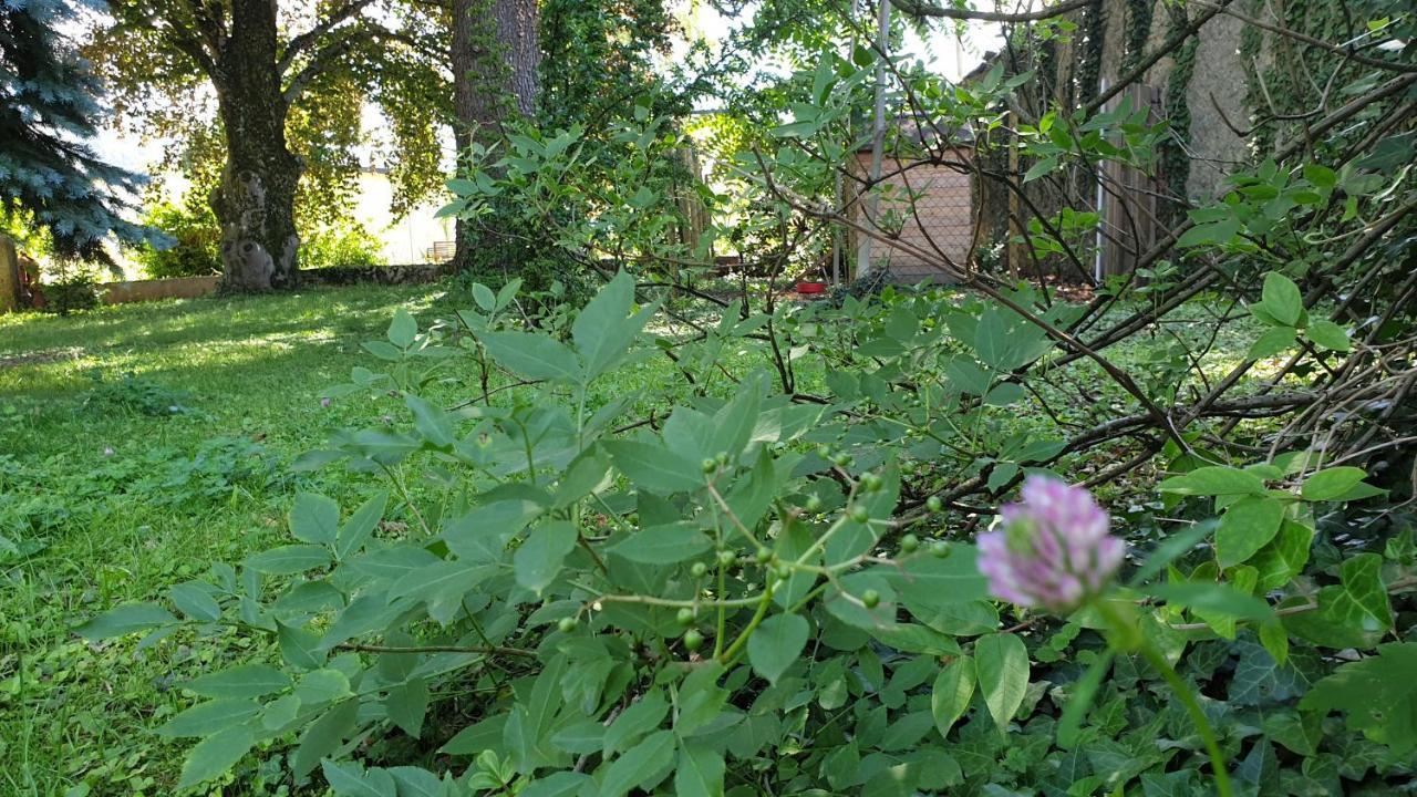 Bed and Breakfast De Passage Chez Lili Poligny  Zewnętrze zdjęcie